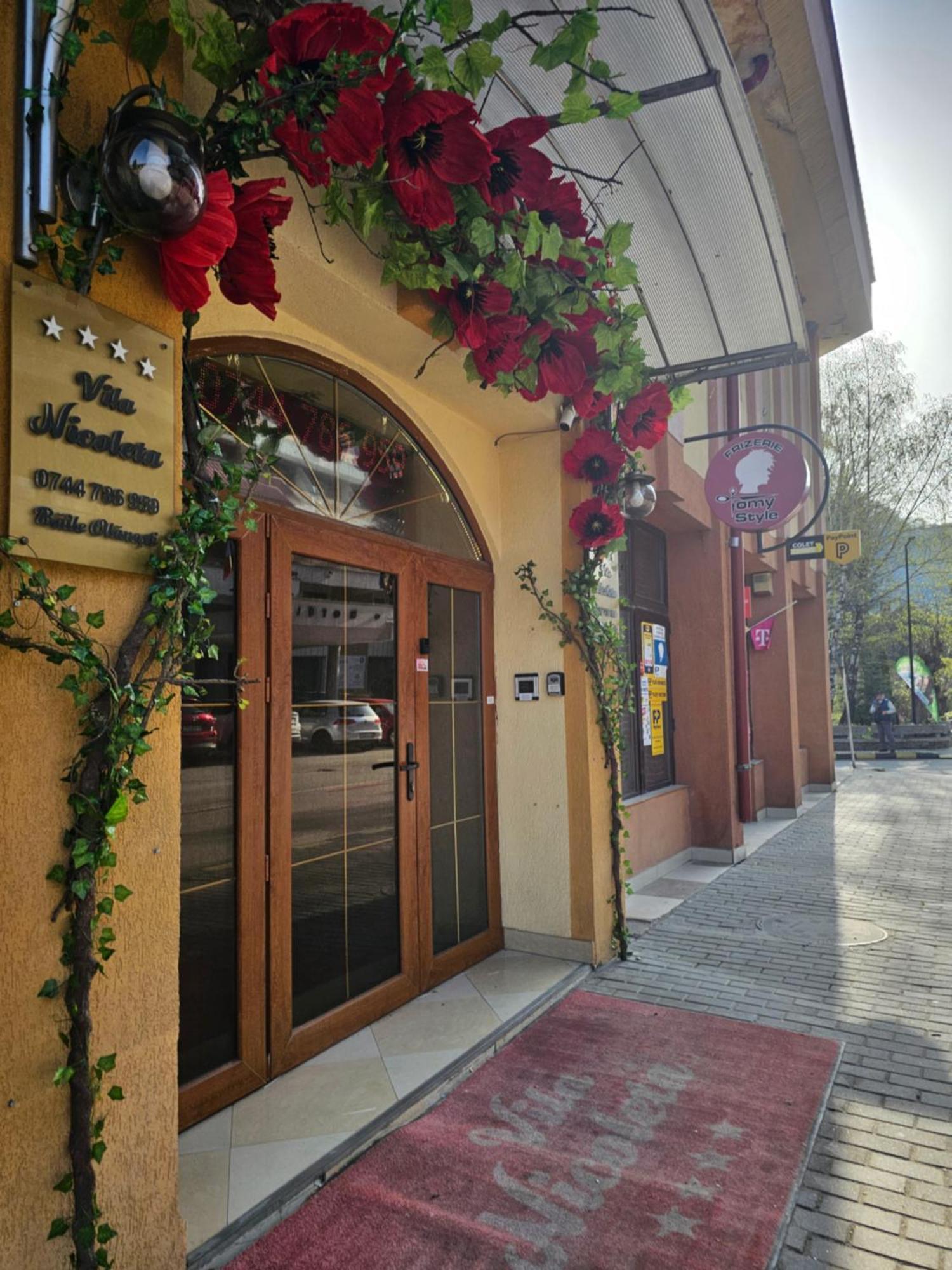 Vila Nicoleta Baile Olanesti Exterior foto