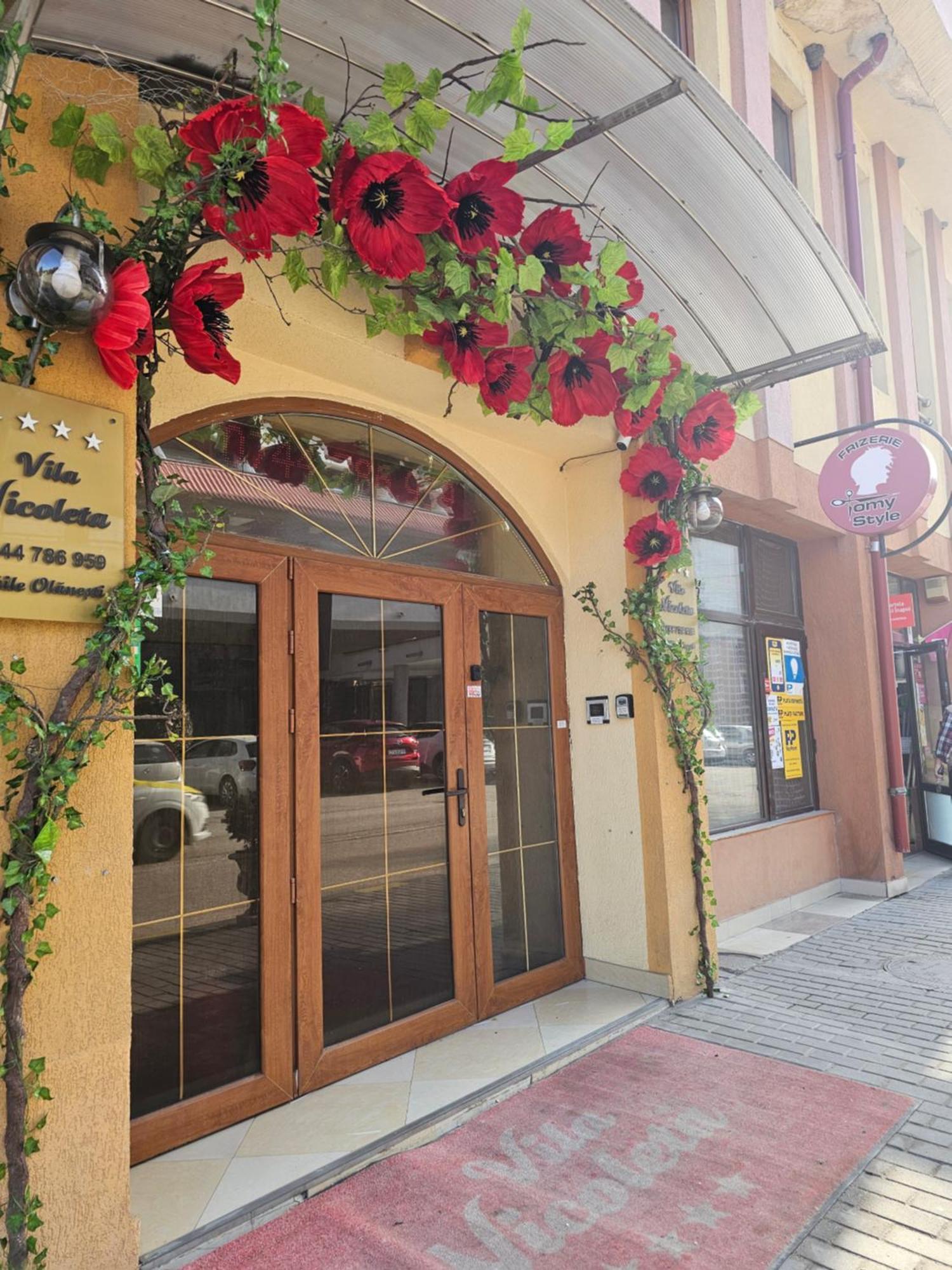 Vila Nicoleta Baile Olanesti Exterior foto