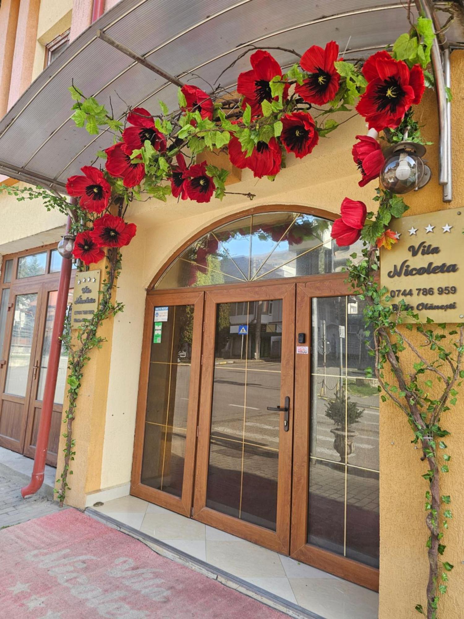 Vila Nicoleta Baile Olanesti Exterior foto